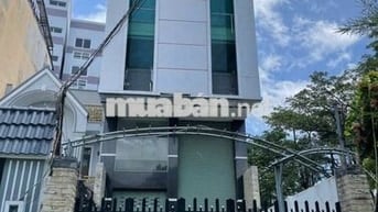 🏢 Cho Thuê Tòa Nhà Trường Sơn Q10 – 6 Tầng, Thang Máy, 110Tr 💼