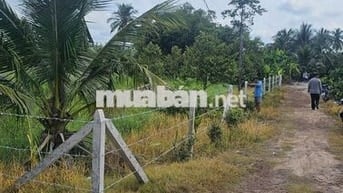 20x41 có 200m2 thổ cư. Đường nhựa ngay KCN . 2,72 tỷ