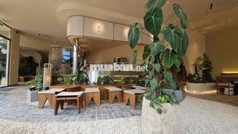 Cho Thuê Nhà Góc 2MT Trường Sơn, Cư Xá Bắc Hải, Quận 10