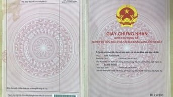 Bán đất tại Nghĩa Đàn Nghệ An thông qua đấu giá là TSBĐ tại MSB lần 2