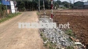 Cần tiền nên bán gấp lô đất ngay uỷ ban phường Bình Lộc