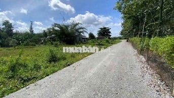 Full thổ cư gần KCN, sổ sẵn. 10m mặt tiền. 230tr