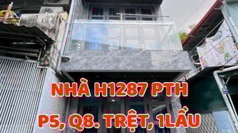 Nhà cho vợ chồng trẻ, 24m2, 1trệt, 1lầu, BTCT, H1287 Phạm Thế Hiển P5.