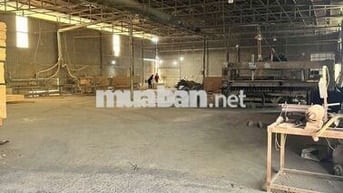 Xưởng xẻ gỗ 13679.2m2 giá 200 triệu, đầy đủ máy móc thiết bị