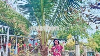 Nhà cho thuê mặt tiền đường Duyên Hải