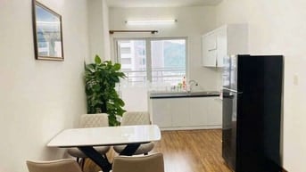 Cho thuê căn Hộ MTVT OC2A tầng cao
2PN 2WC
