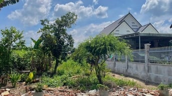 Kẹt tiền bán đất Ngộp ở Phước Thành-TPHCM, DT 550m2 thổ cư, Sổ sẳn