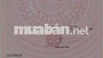 Cần bán 2 lô đất Trung Đông 7, vị trí đẹp, 107m2, 4tỷ3, Hóc Môn, HCM