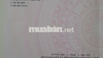 NHIỀU NGƯỜI NGOÀI KIA NÓI RẰNG QUÁ RẺ, KỆ, EM NHẮM MẮT BÁN LUÔN!