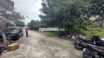 ĐẤT FULL THỔ 116M2 - KDC HIỆN HỮU - P. AN PHÚ ĐÔNG QUẬN 12