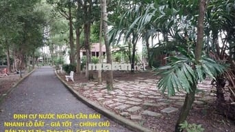 BÁN NHANH LÔ ĐẤT GIÁ TỐT CHÍNH CHỦ BÁN TẠI Xã Tân Thông Hội,Củ Chi,HCM