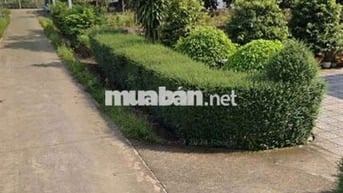 4 LÔ ĐẤT LIỀN KỀ 2000m2 Long Thành, Đồng Nai