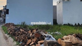 Bán lô đất 92m2, hẻm xe hơi đường số 8, phường 17, gần chung cư An Lộc