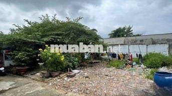 Bán đất Đồng Hưng Thuận quận 12