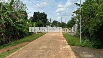 Đất Vườn Tx Chơn Thành ,nhánh QL 13