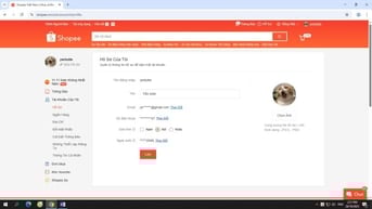 Mèo con maincoon màu đẹp , các bé được 1th tuổi rồi đấy ạ