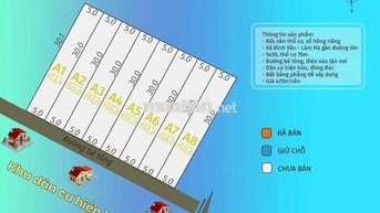 BÁN ĐẤT GIÁ RẺ ĐINH VĂN LÂM HÀ