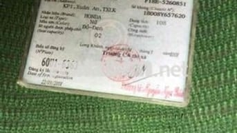 air Blade  Biển Đẹp