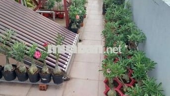 Cho thuê nhà nguyên căn Đường Nguyễn Kiệm Gò Vấp