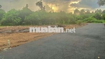 Đất nền mặt nhựa Bình Lộc 5,5x30