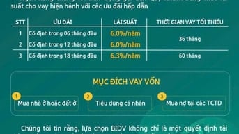 HOT HOT HOT Ngân hàng BIDV, tư vấn cho vay lãi suất ưu đãi!