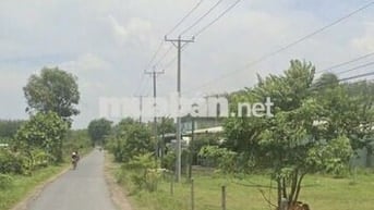 1117m2 đường nhựa nối 2 KCN lớn. Dân đông. 890tr