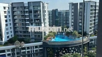 Cho thuê căn hộ cao cấp Diamond Alnata -Celadon. Full nội thất ,ở ngay