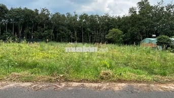 830TR SỞ HỮU NGAY LÔ ĐẤT TẠI TÂN PHÚ TRUNG – CỦ CHI