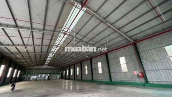 Cho thuê kho 1200m ngay trung tâm đầy đủ giấy tờ tại Thủ Dầu Một