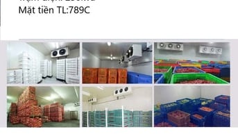Chuyển nhượng nhà kho bảo quản trái cây + xưởng