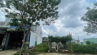 Cần bán đất thổ cư Bình Chánh – sổ hồng riêng – xây dựng ngay