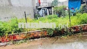 BÁN ĐẤT  – ĐƯỜNG NHỰA 5M – NGAY HIM LAM AN PHÚ ĐÔNG, DĨ AN Giá đầu tư