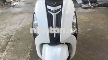 Greande biển TP xe đẹp máy rin rất êm