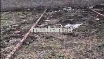 Đất 50m2 gần chợ Đại Bản, An Dương giá chỉ 820 triệu đồng