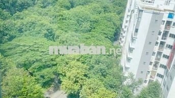 EMERALD CELADON CITY CHO THUÊ CĂN HỘ NỘI THẤT CƠ BẢN 63m2 2PN 1WC