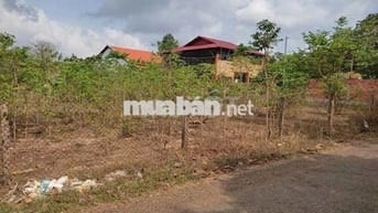 Đất vườn gần trung tâm hành chín xả giá 580tr /1450m2 (18*86) SỔ SẲN