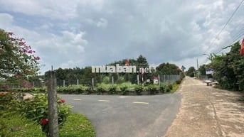 Cần sang lô đất 281m2 trục đường DH kinh doanh đa ngành nghề