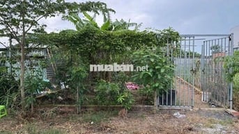 CHÍNH CHỦ CẦN BÁN LÔ ĐẤT 152m SAU LƯNG ỦY BAN XÃ PHƯỚC VÂN