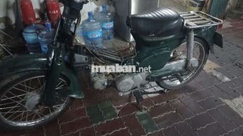 Honda Cub 81 50 học sinh zin đẹp máy êm giấy TPHCM