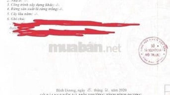 Do Di Cư Nước Ngoài Nên Cần Bán Nhanh Lô Đất, Dĩ An, 1ty580tr, 170m2