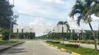 Đất đẹp giá rẻ như hạt dẻ đây ạ.