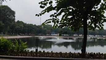 Cần một nữ dưới 40 tuổi làm nhổ tóc bạc