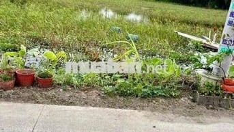 Đất Nền Gần cầu xáng Tỉnh Lộ 10 cụm KCn Tân Đức Tân Đô Hải sơn