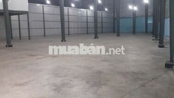 Cho thuê 3 kho Lê Trọng Tấn, Tân Phú, diện tích đa dạng, PCCC đầy đủ