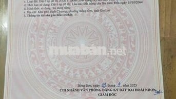 Đất hơn 1000m2 ngay trung tâm cầu Bồng Sơn