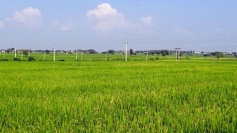 HOT- CẦN TIỀN XOAY SỞ CHỦ BÁN 500M2 ĐẤT THỔ CƯ+NÔNG NGHIỆP- TIỀN GIANG