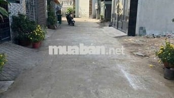 Nhà ngõ hẻm,120m2,3 phòng ngủ, đường lương Văn nho, tân phong