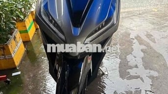 Vario 2019 zin kiểng