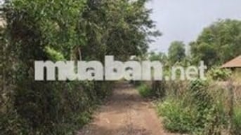 Đất nông nghiệp 17,500m2 xã Phú Ngoc Định Quán Đồng Nai