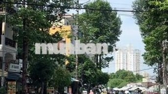 Bán nhà mặt tiền Nguyễn Gia Trí(D2), P25 Bình Thạnh 4x20 giá 20.9 tỷ